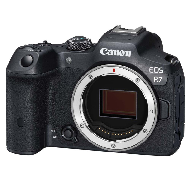 CANON EOS R7 Boitier nu
