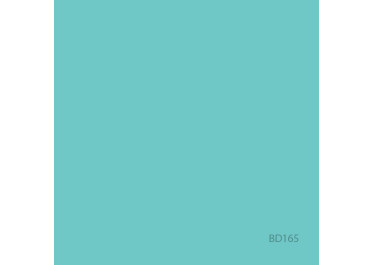 BD FOND STUDIO PAPIER 2,72 x 11 m Aqua
