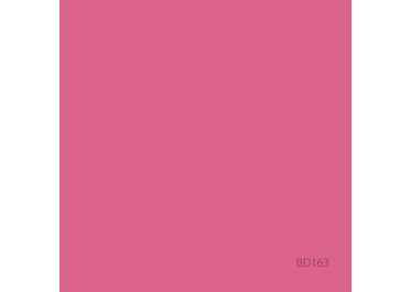 BD FOND STUDIO PAPIER 1,36 x 11 m Hot Pink
