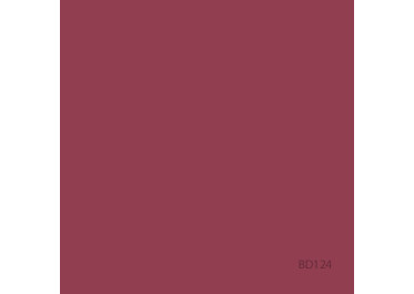 BD FOND STUDIO PAPIER 2,72 x 11 m Red