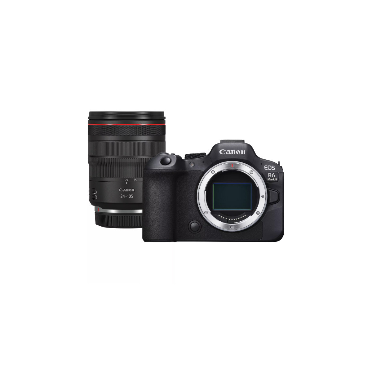 CANON EOS R6 Mark II + RF 24-105 mm f/4 L IS USM
