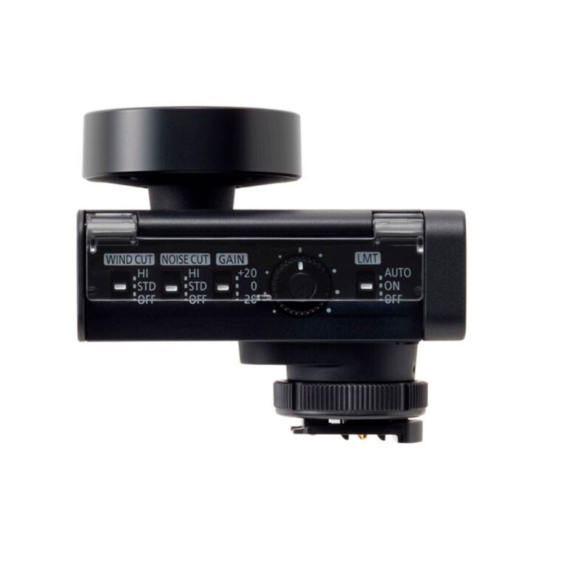 Panasonic LUMIX DMW-DMS1 | Micro Multidirectionnel Sans Fil 32 bits