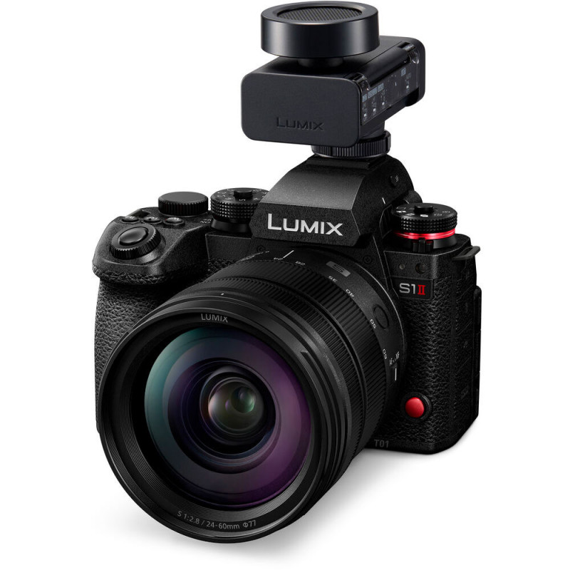 Panasonic LUMIX DMW-DMS1 | Micro Multidirectionnel Sans Fil 32 bits
