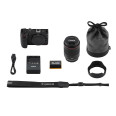 CANON EOS R6 V + RF 20-50 mm f/4 L IS USM PZ