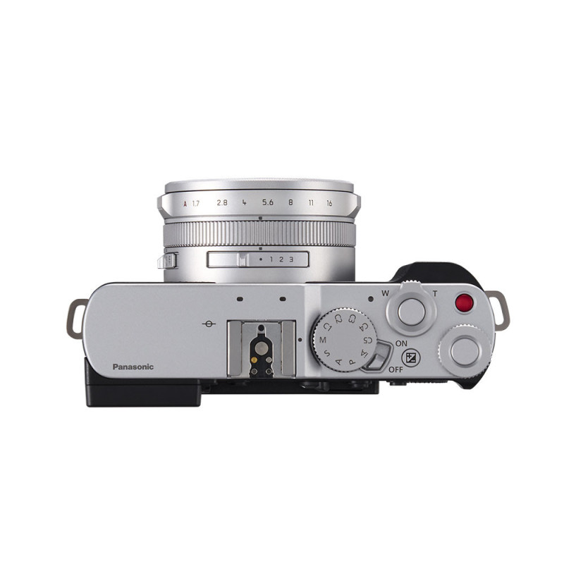 PANASONIC LUMIX DC-L10 Silver