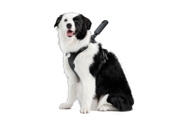 INSTA360 PET HARNESS MOUNT TAILLE L POUR GO
