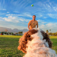 INSTA360 PET HARNESS MOUNT TAILLE S POUR GO