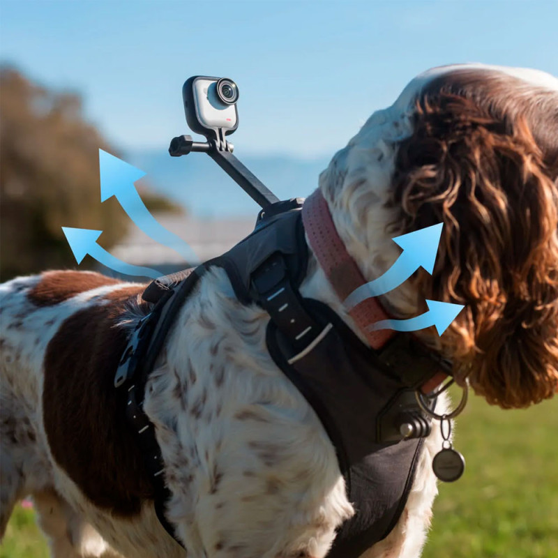 Harnais Animaux Insta360 Taille M (GO) | Support Chien Moyen