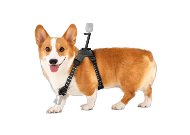 INSTA360 PET HARNESS MOUNT TAILLE M POUR GO
