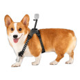 INSTA360 PET HARNESS MOUNT TAILLE M POUR GO