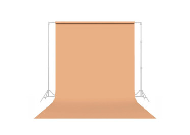 SAVAGE FOND STUDIO PAPIER 2,72X11M BEIGE