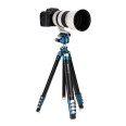 BENRO CYANBIRD ALU TRIPOD TCBA25G36PT