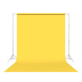 SAVAGE FOND STUDIO PAPIER 2,72X11M CANARY