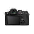 SONY DSC-RX10 V