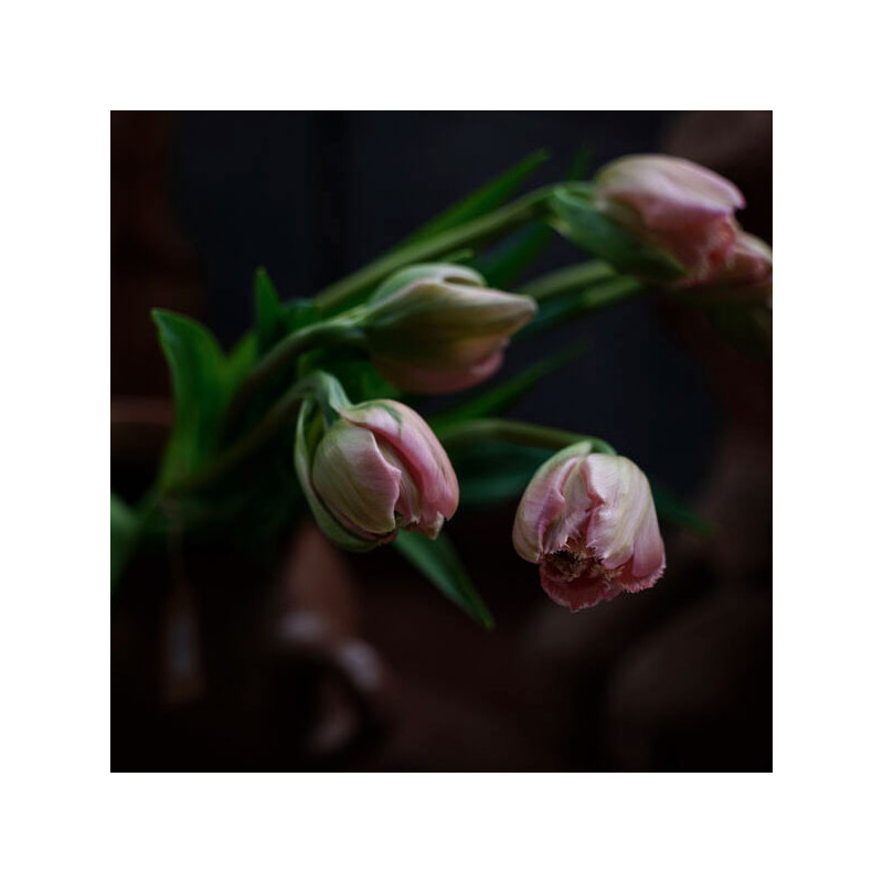SIGMA 20-60 mm f/2,8-4 DG SONY E (CONTEMPORARY)
