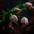 SIGMA 20-60 mm f/2,8-4 DG SONY E (CONTEMPORARY)