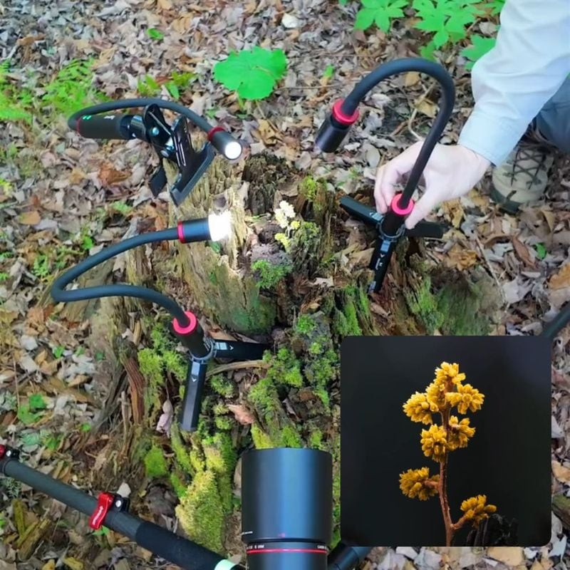 Trois lampes LED macro SmallRig RM 03 éclairant une bûche moussue en forêt, avec un encart en gros p