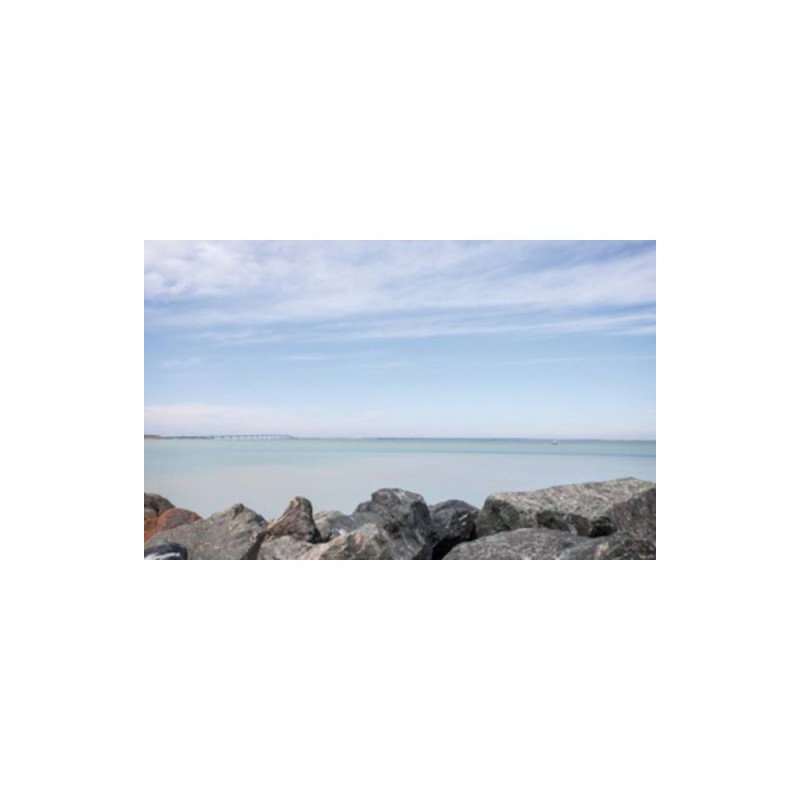 COKIN P125 FILTRE Dégradé Tabac T2