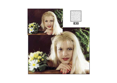 COKIN P830 Diffuseur 1 P