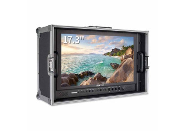 FEELWORLD P173-9HSD Moniteur 17.3"