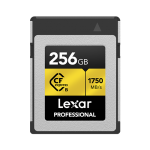lexar-pro-cfexpress-gold-type-b-256gb