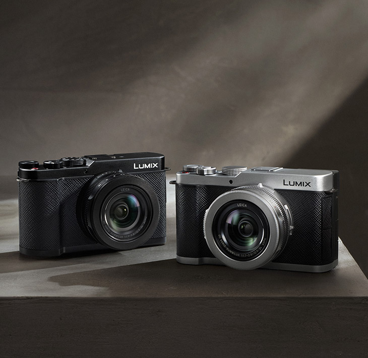 PANASONIC LUMIX DC-L10